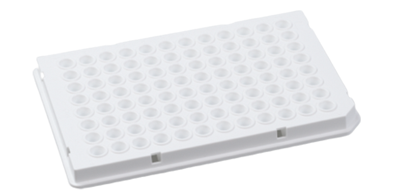 PCR Plate