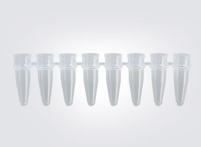 8 Strip PCR Tube Without Cap