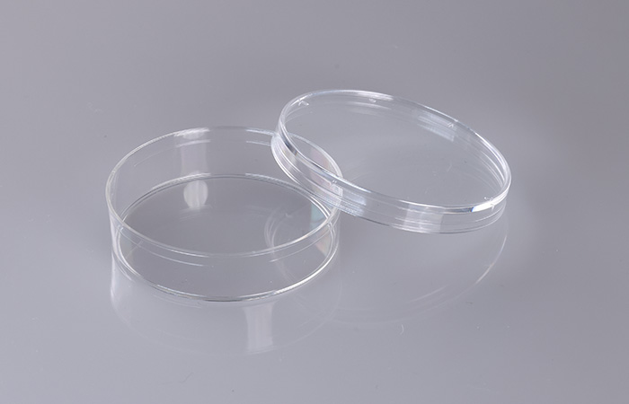 irradiation sterilized petri dish